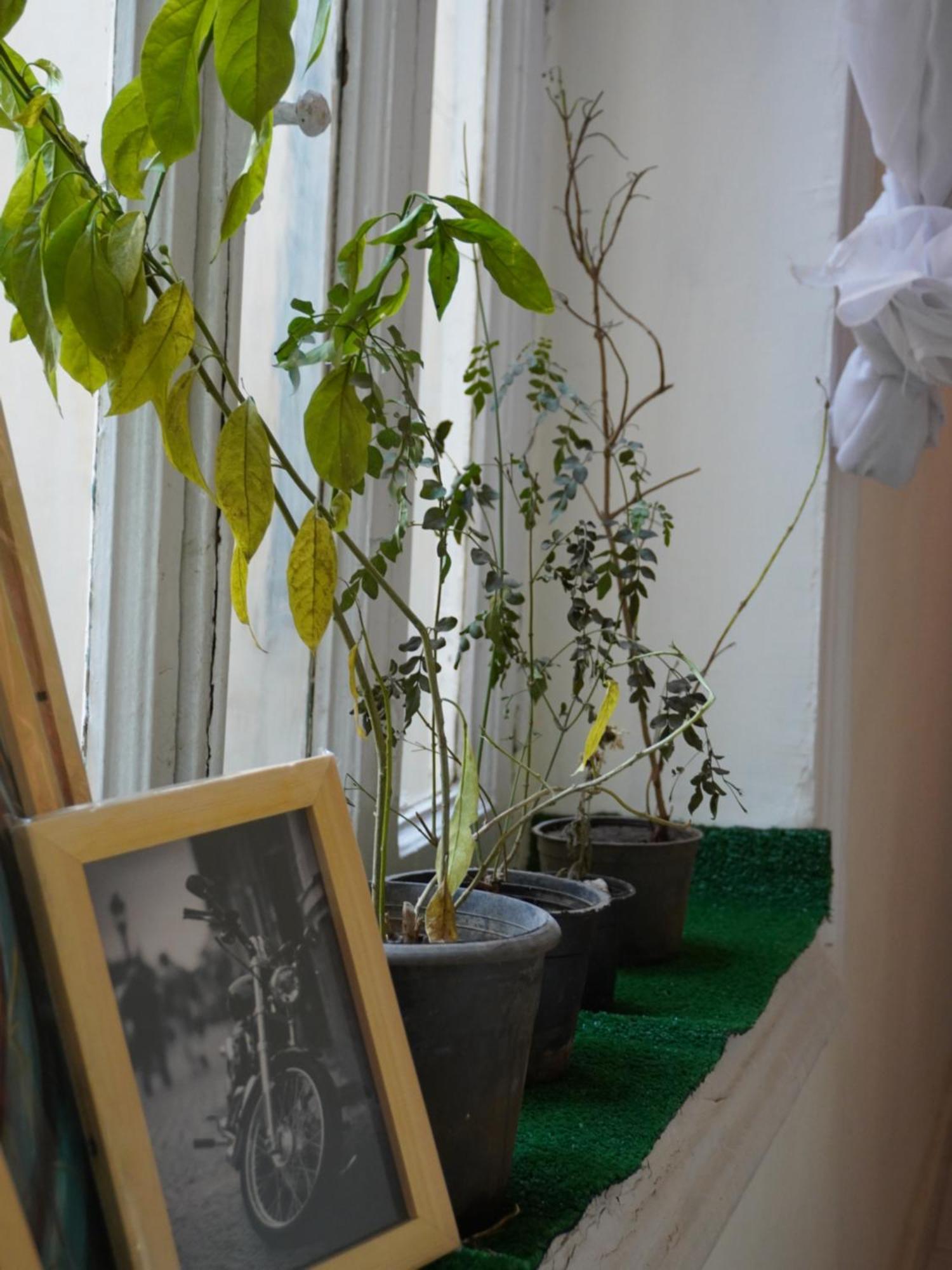 Rhala Hostel Egypt 카이로 외부 사진