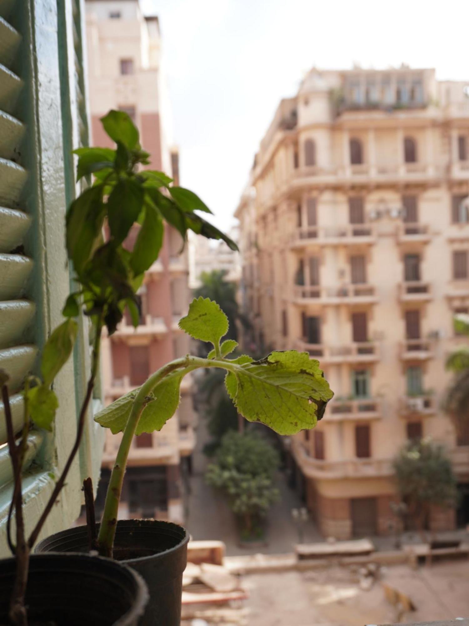 Rhala Hostel Egypt 카이로 외부 사진